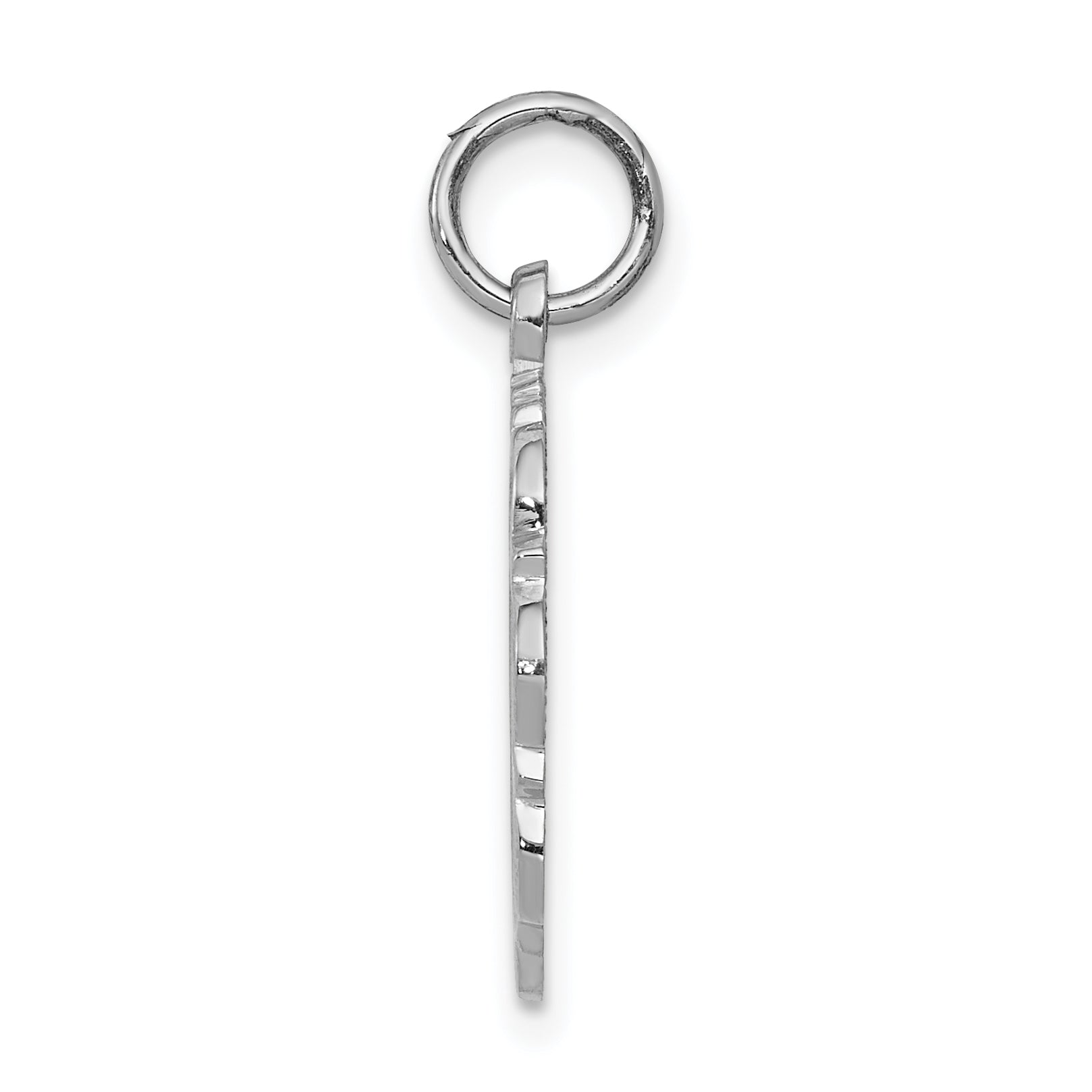 14K White Gold RN Disc Charm with Polished Finish and Textured Back Secondary image