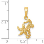 14K Gold Polished Seahorse and Starfish Pendant for MenÃÂ¢Ã¢âÂ¬ÃÂÃÂ¢Ã¢âÂ¬ÃÂÃÂ¢Ã¢âÂ¬ÃÂ