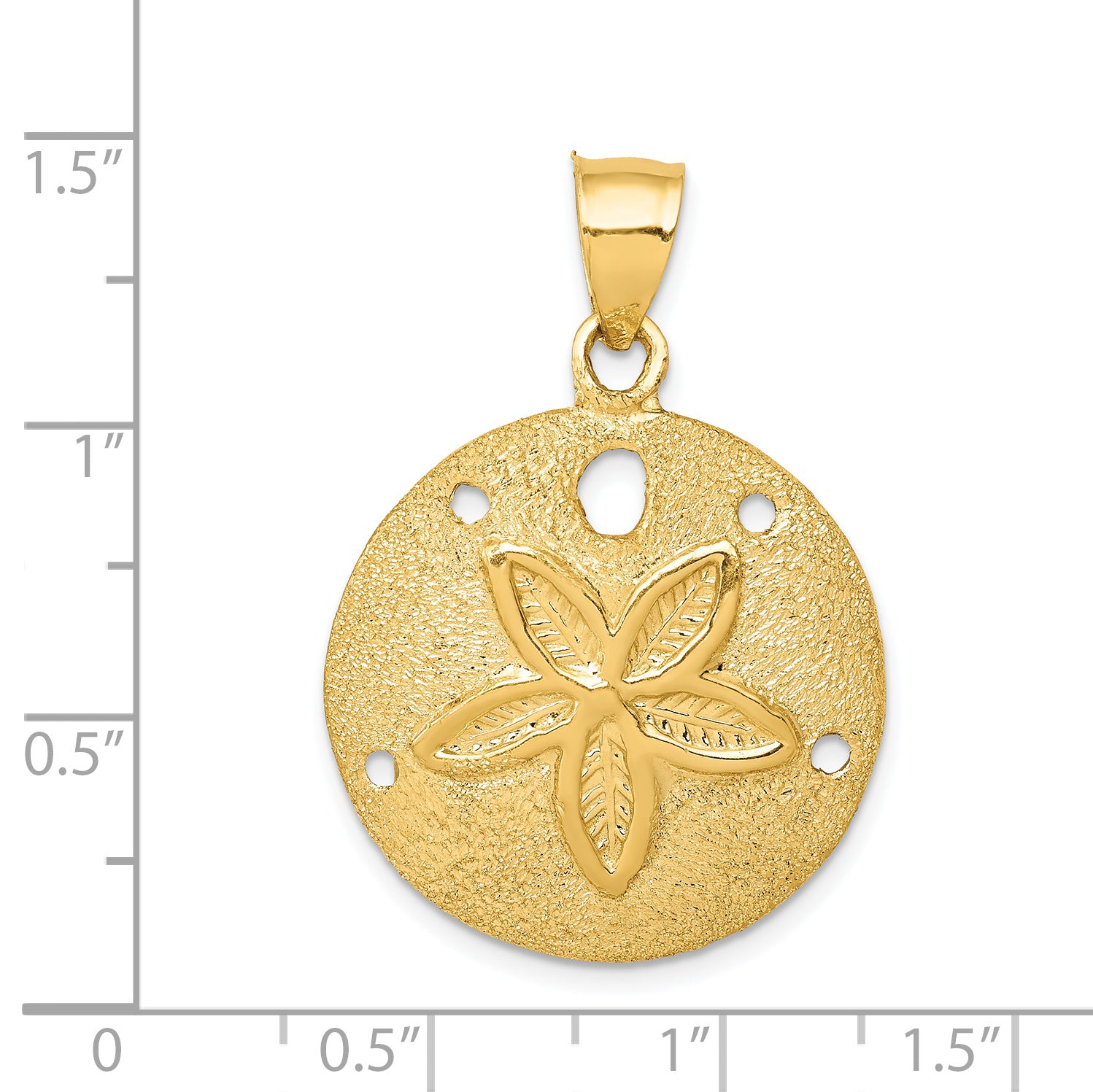 14K Gold Men's Solid Polished Sand Dollar Pendant  Textured, Laser-Cut Design