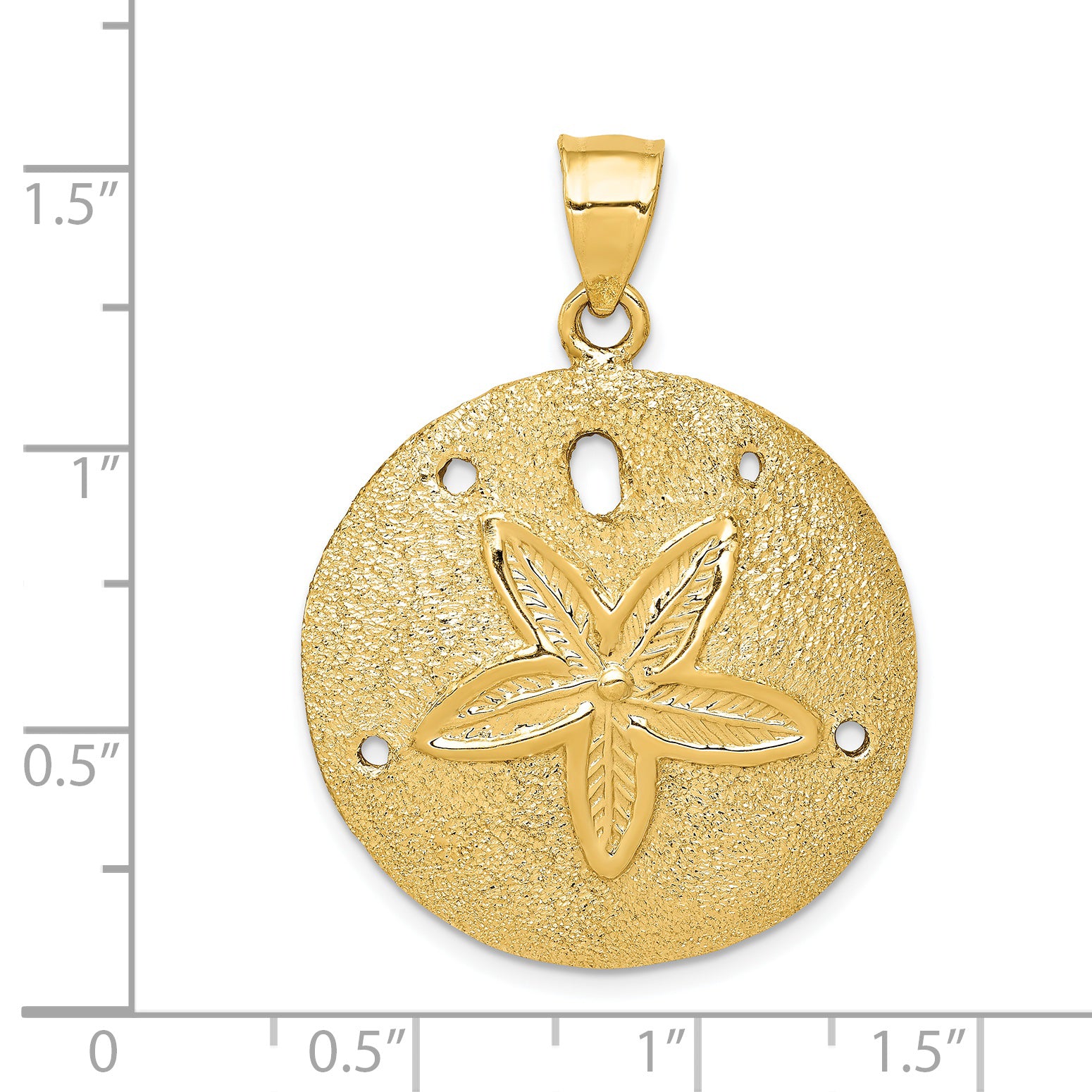 14K Gold Solid Polished Laser-Cut Sand Dollar Pendant for Men | Elegant & Textured