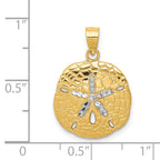 14K Gold Sand Dollar Pendant with White Rhodium Diamond-Cut Finish