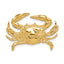 14k Blue Crab Slide