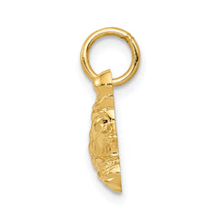 14K Gold Go-Kart Pendant with Polished Finish  Men's Themed Charm