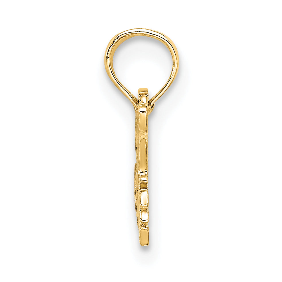 14K SPECIAL NIECE Charm Secondary image