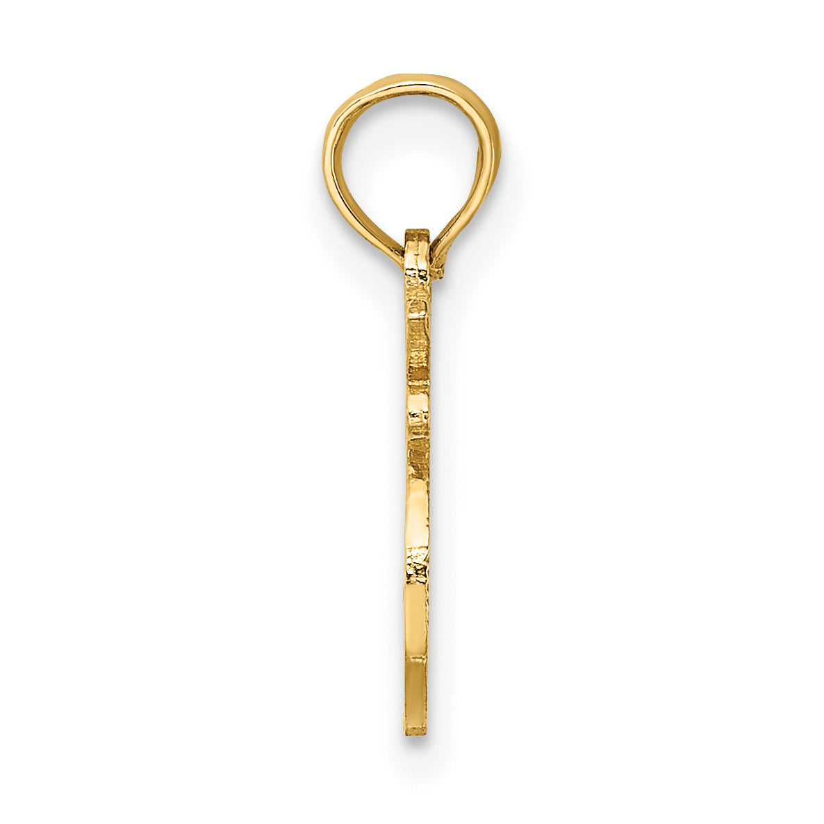14K 100% LEO Zodiac Charm Secondary image