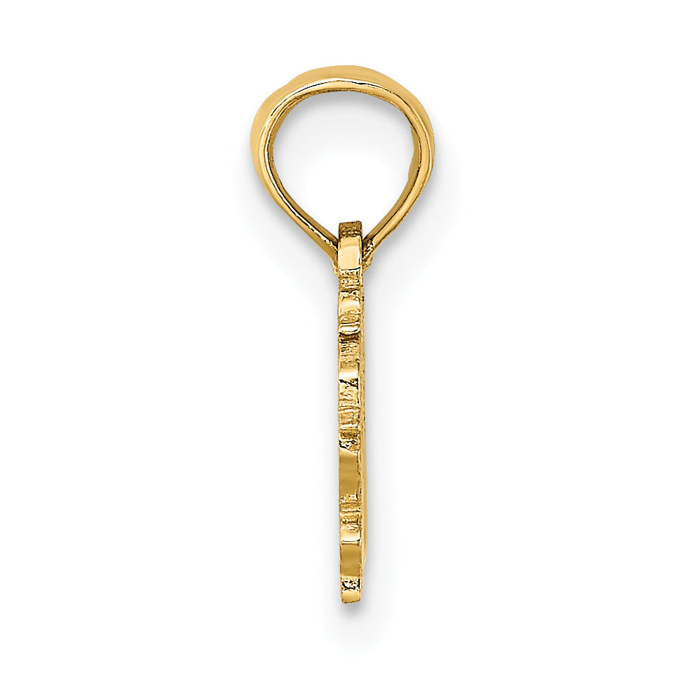 14K 100% VIRGO Zodiac Charm