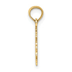 14K 100% CAPRICORN Zodiac Charm