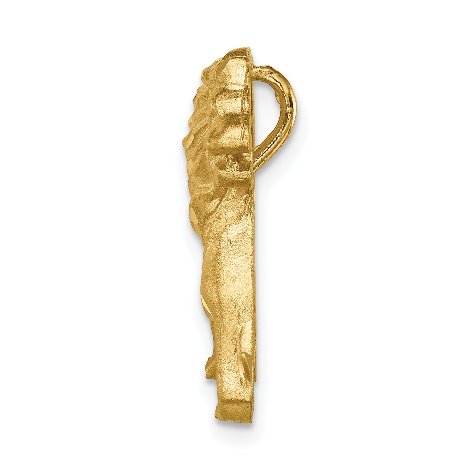 14K Brushed Diamond-cut Lion Chain Slide Secondary image
