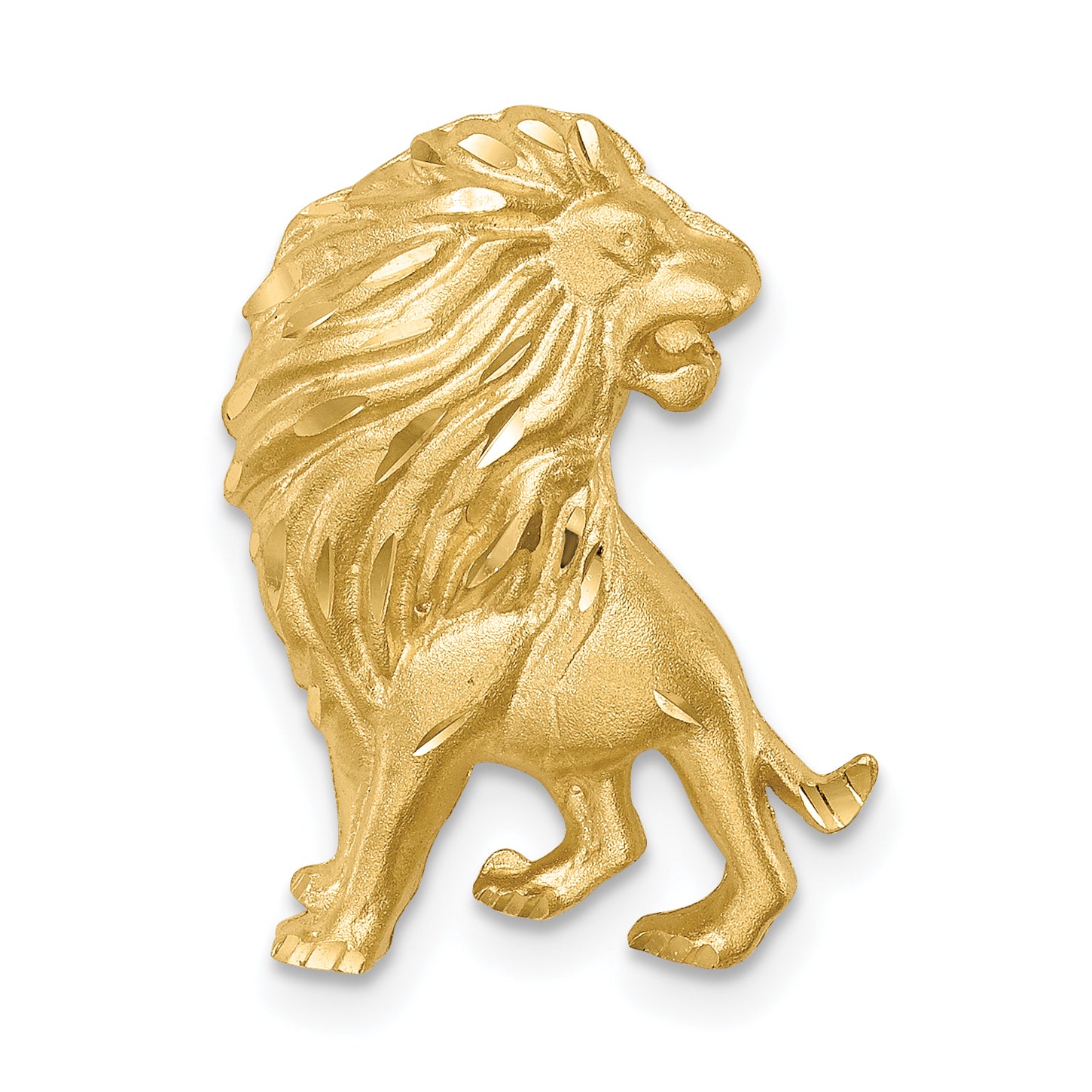 14K Brushed Diamond-cut Lion Chain Slide Main image