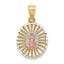 14K Two-tone & White Rhodium Polished Guadalupe Pendant
