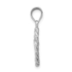 14K White Brushed & Polished Diamond-cut Virgin Mary Pendant