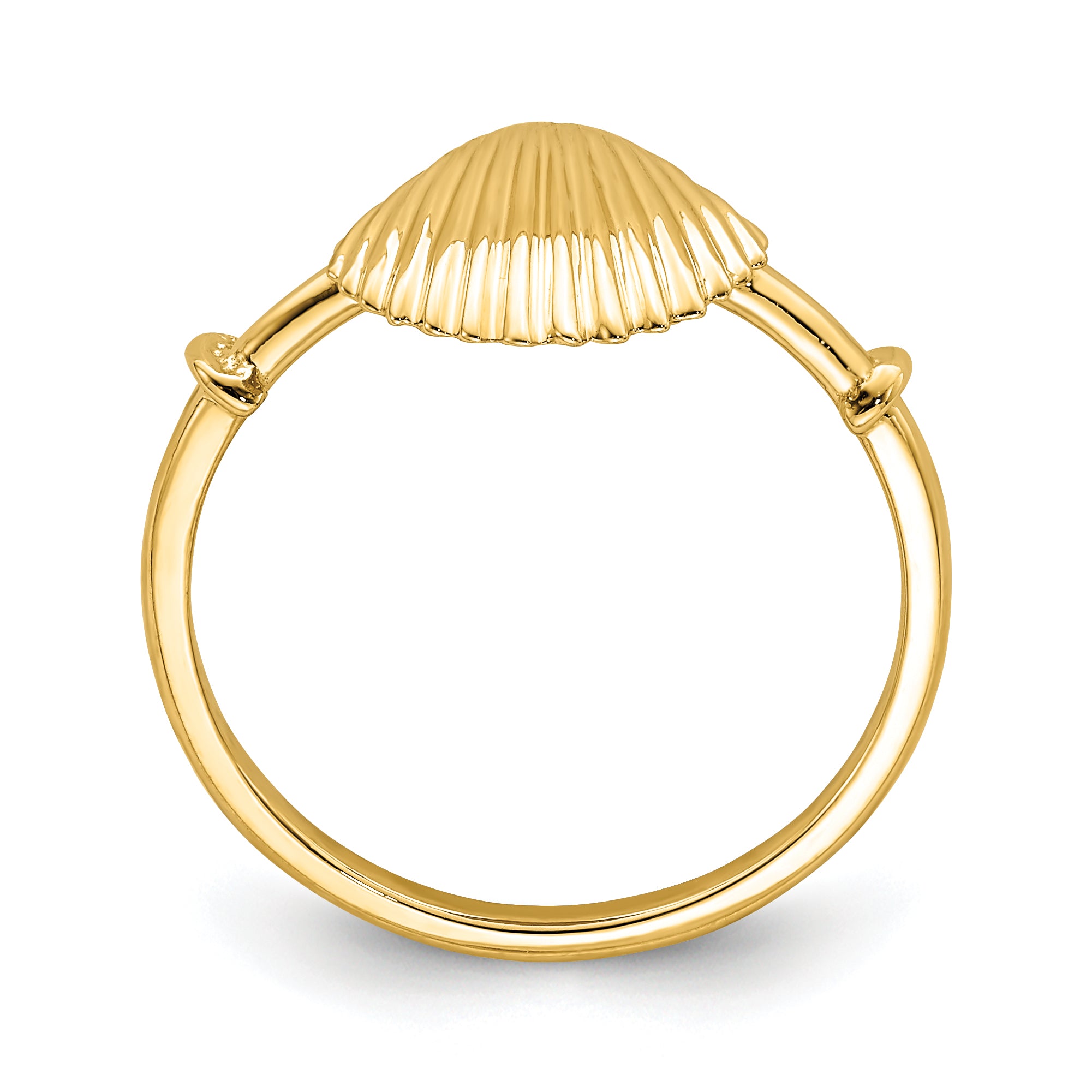 14K Polished Shell Ring Secondary image