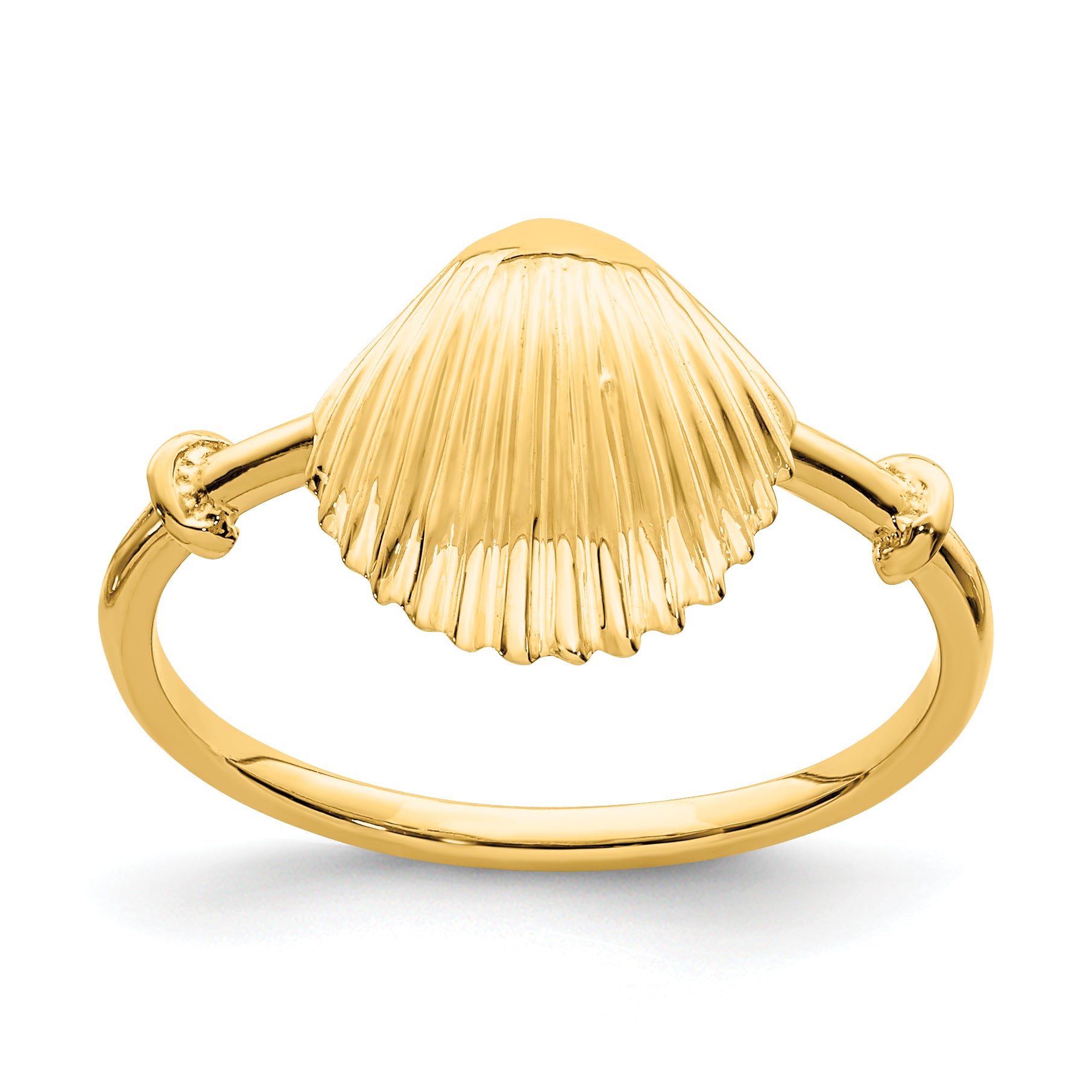 14K Polished Shell Ring Main image