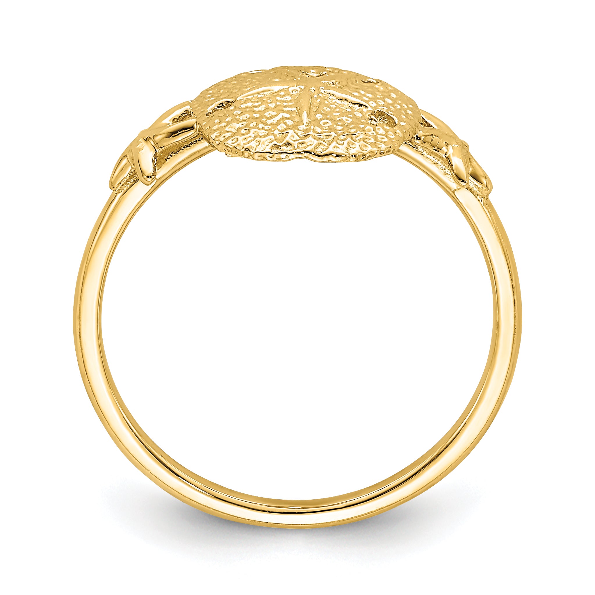 14K Polished Sand Dollar Ring Secondary image