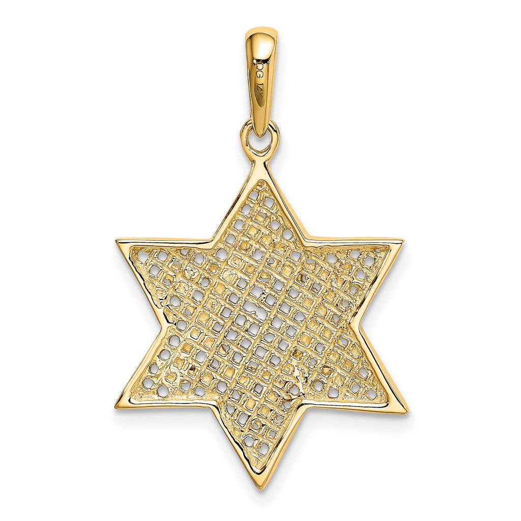 14K Gold Star of David Pendant with Rhodium Mesh Accent, 32mm Elegant Design