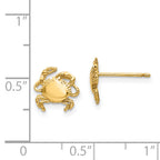 14K Gold Crab Earrings with Solid Cast Design for Women