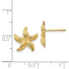 14k Starfish Earrings