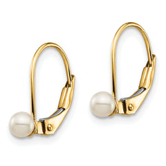 14K Gold Freshwater Cultured Pearl Leverback Earrings Polished, Nickel-Free