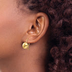14k Polished 10.5mm Button Kidney Wire Earrings