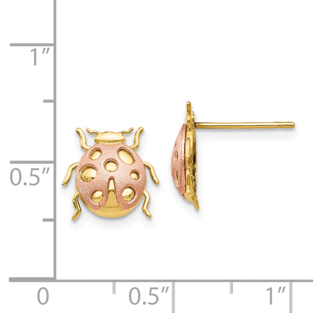 14K Two-Tone Gold Ladybug Earrings with Polished Finish