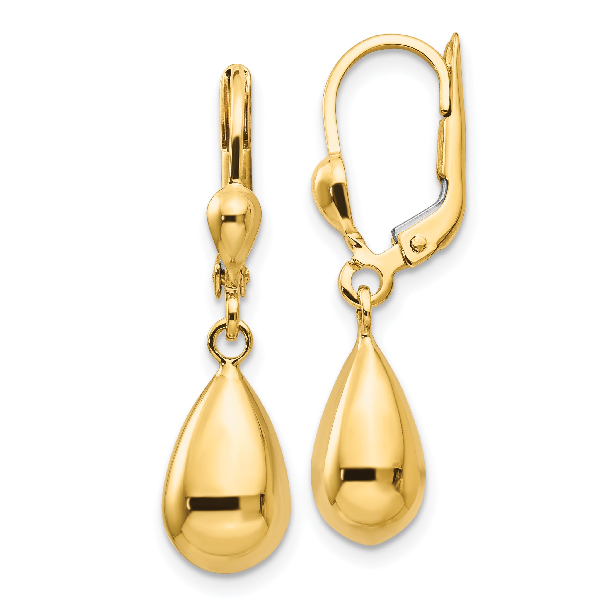 14k Polished Fancy Dangle Leverback Earrings Main image