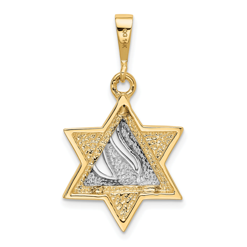 14K Two-Tone Gold Star of David Pendant with Open Back Design
