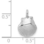 14K White Gold Seashell Pendant with Rhodium Finish and Polished Texture