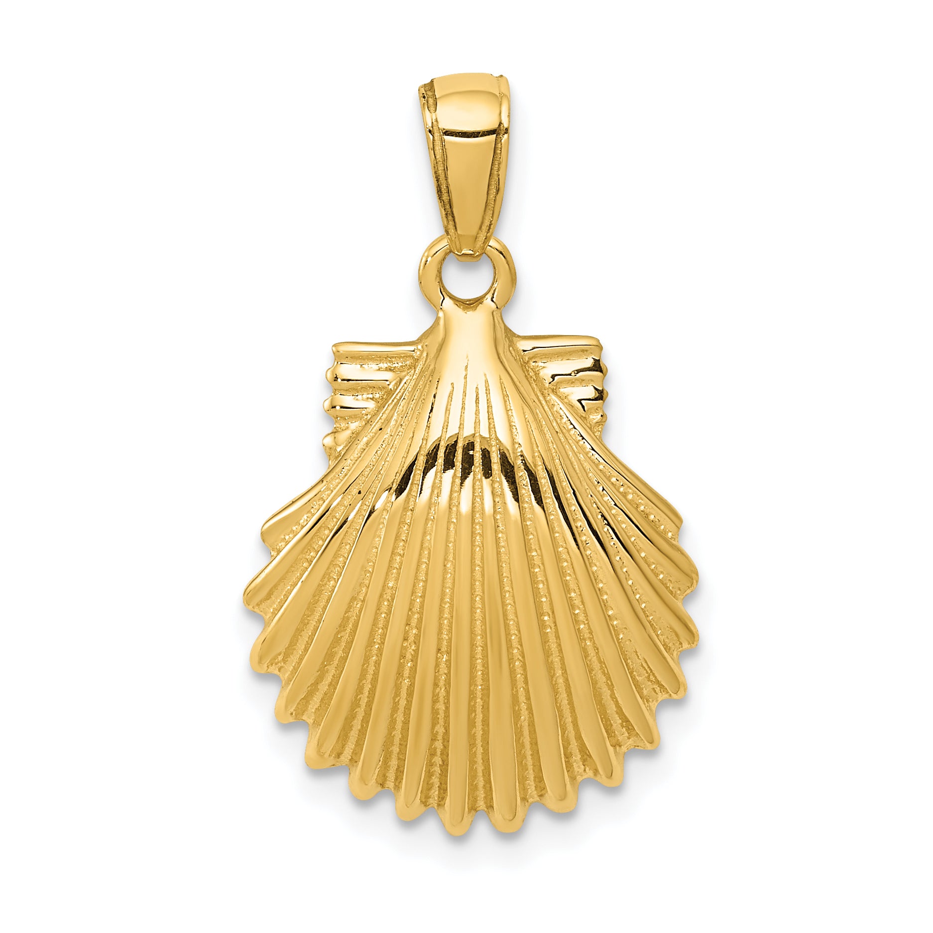 14k Scallop Shell Pendant Main image
