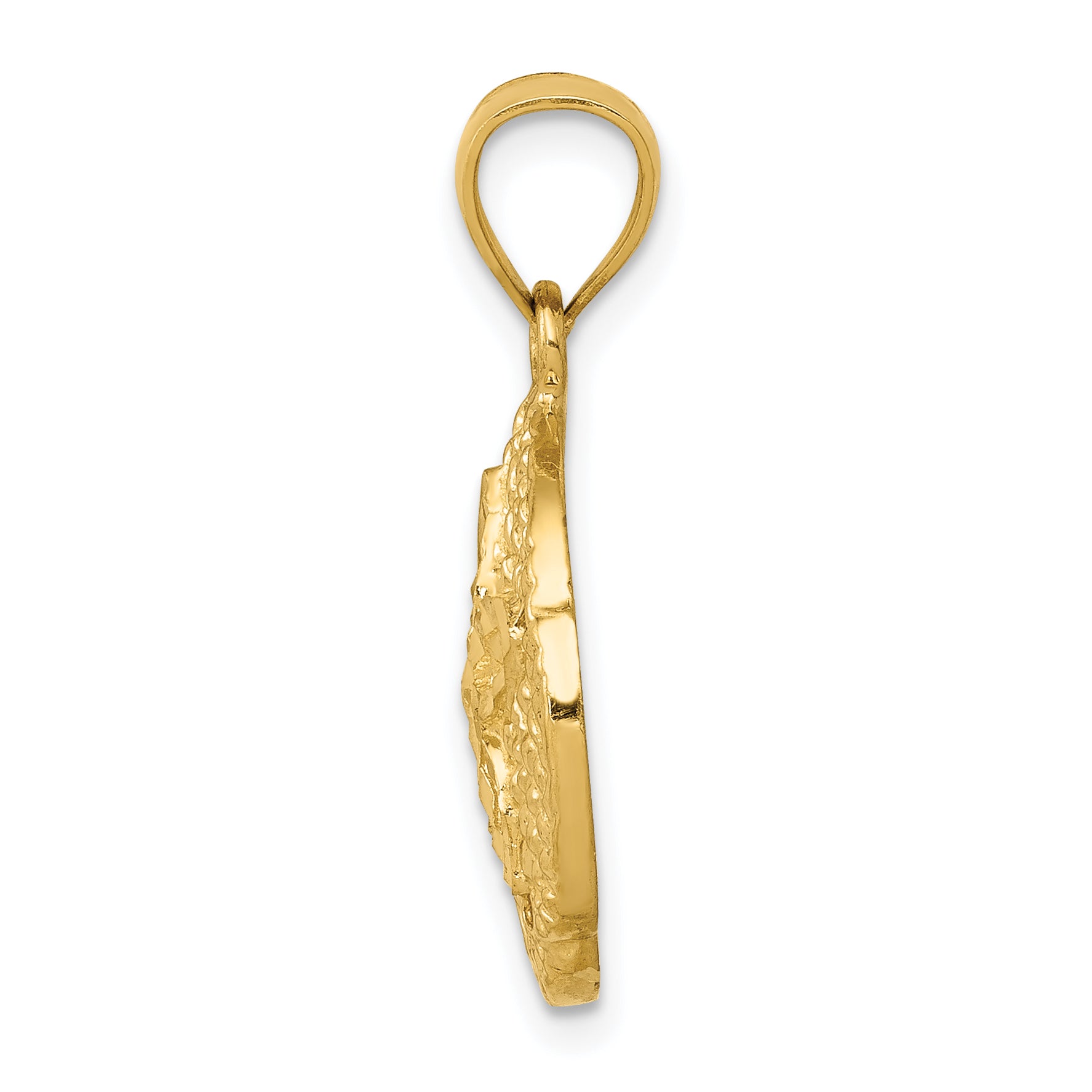 14K Gold Sand Dollar Pendant with Polished Finish and Textured Detail