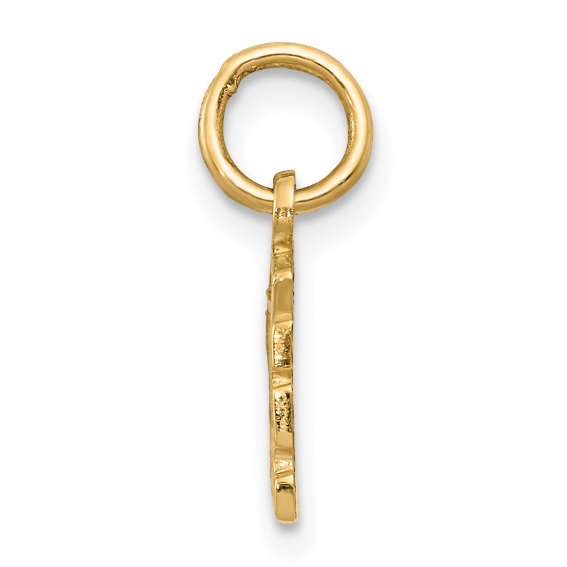 14K Gold Swiss Cheese Charm with Polished Finish and Textured Design Secondary image