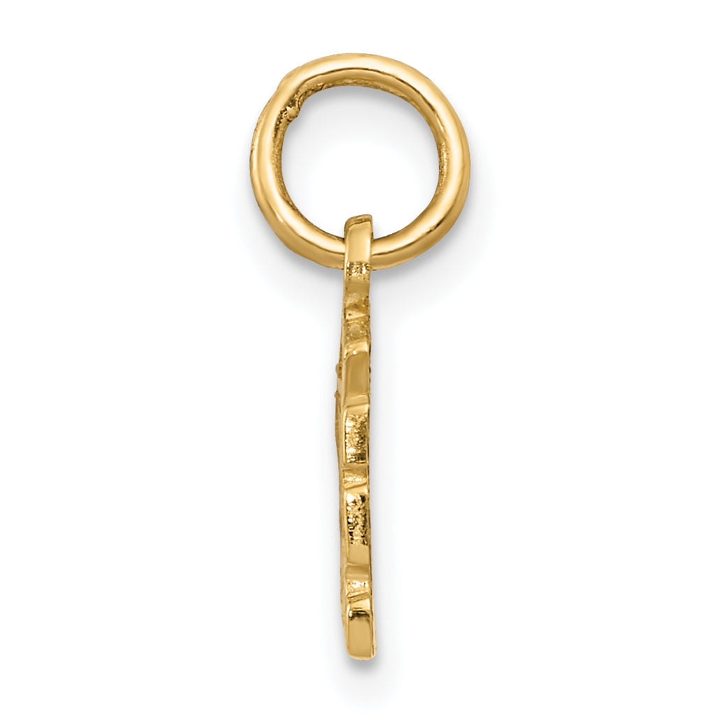 14K Gold Swiss Cheese Charm with Polished Finish and Textured Design
