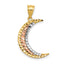 14K Two-tone w/White Rhodium Diamond-cut Moon Pendant
