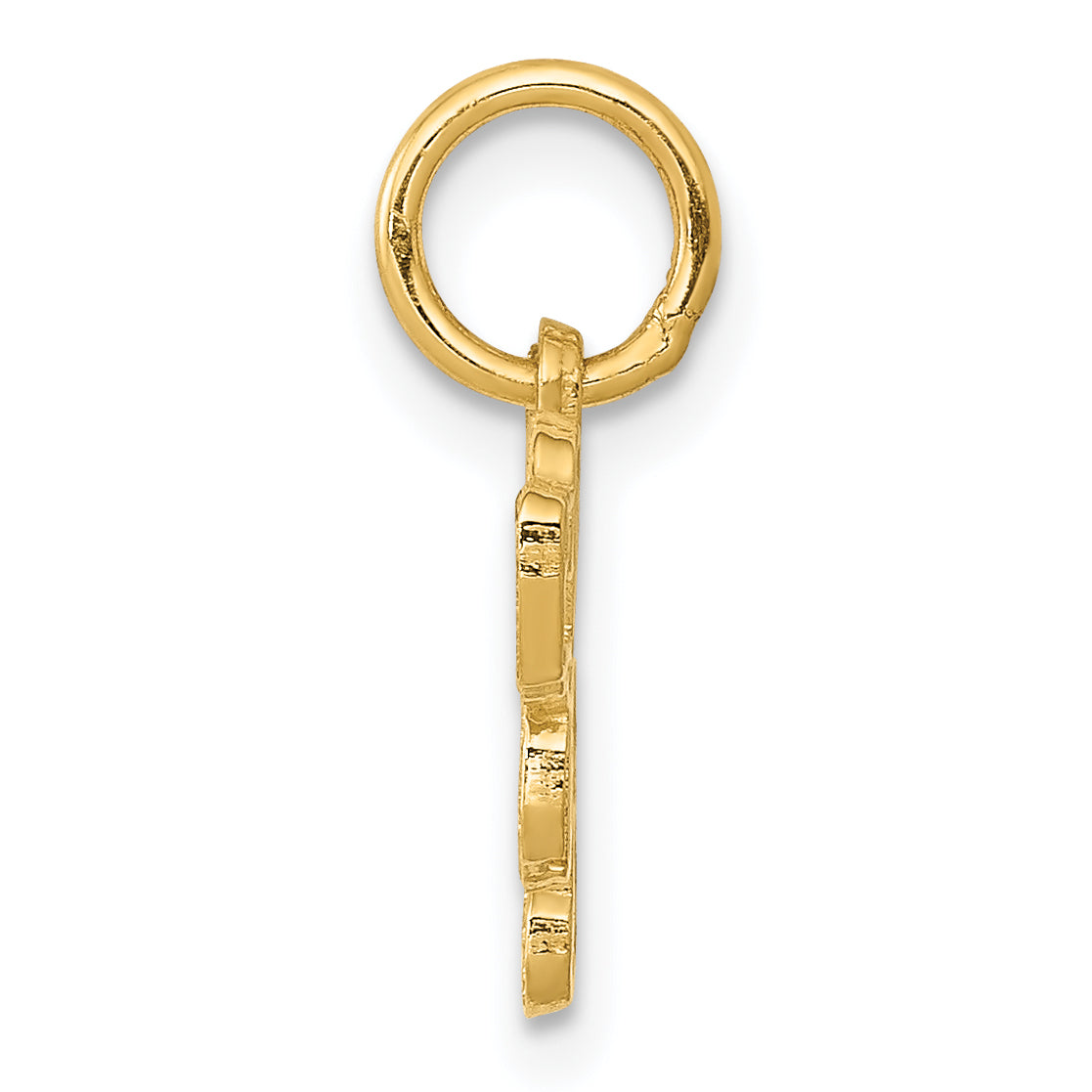 14K Gold Saint Bernard Charm with Polished Textured Finish by Sophia Jewelers Secondary image