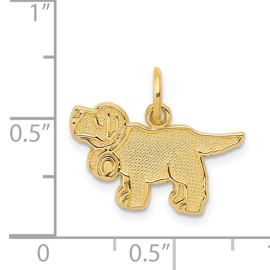 14K Gold Saint Bernard Charm with Polished Textured Finish by Sophia Jewelers
