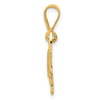 14K Gold Pit Bull Pendant with Polished Finish and Textured Detail