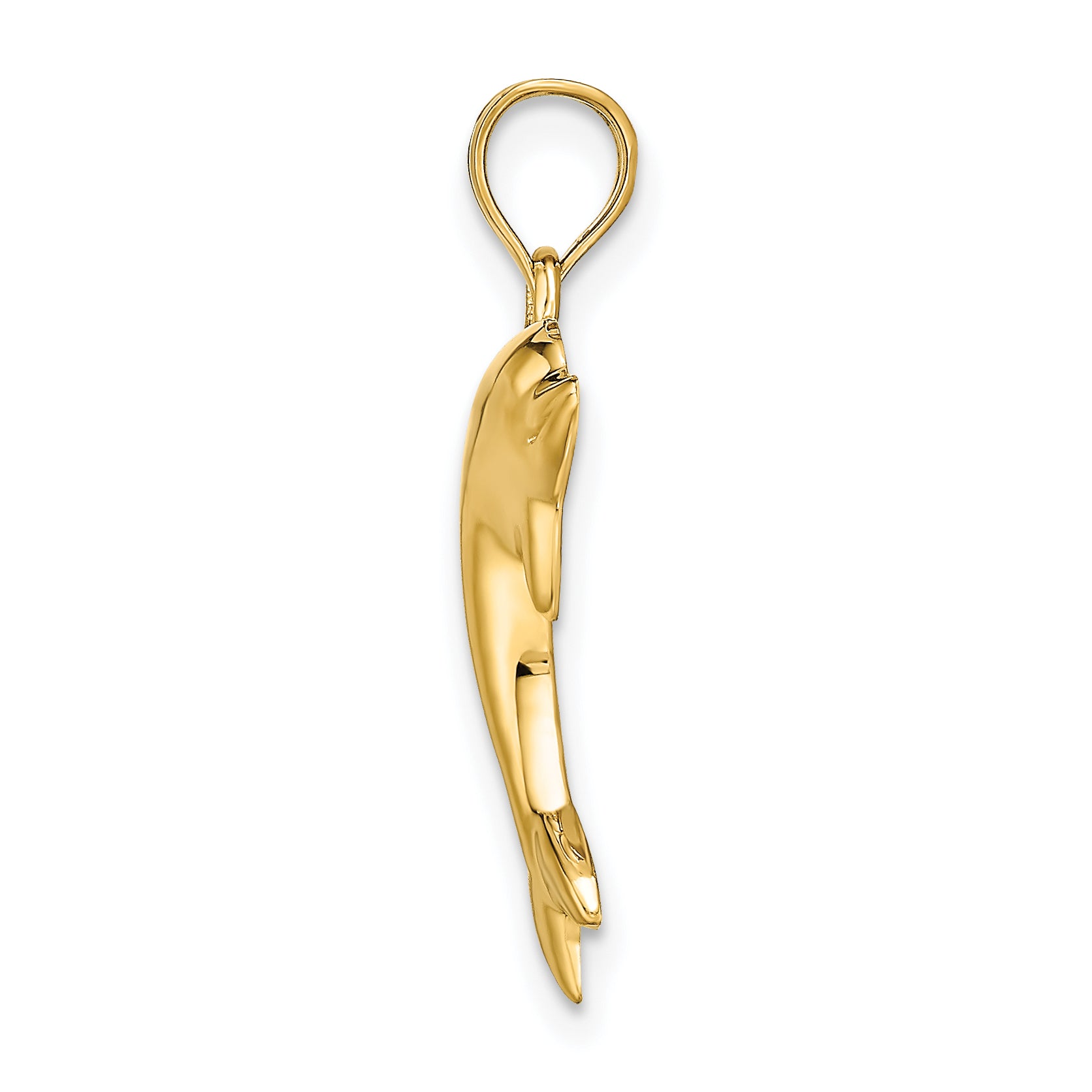 14K Gold Polished Dolphin Charm for Men, Solid Cast Design Secondary image