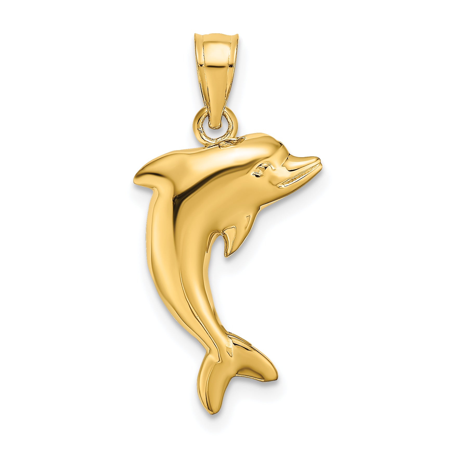 14k Polished Dolphin Charm Main image