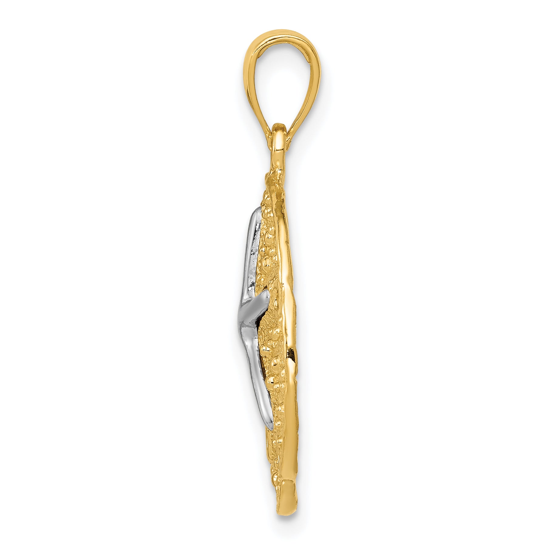 14K Two-Tone Gold Sand Dollar Starfish Pendant with Polished Finish