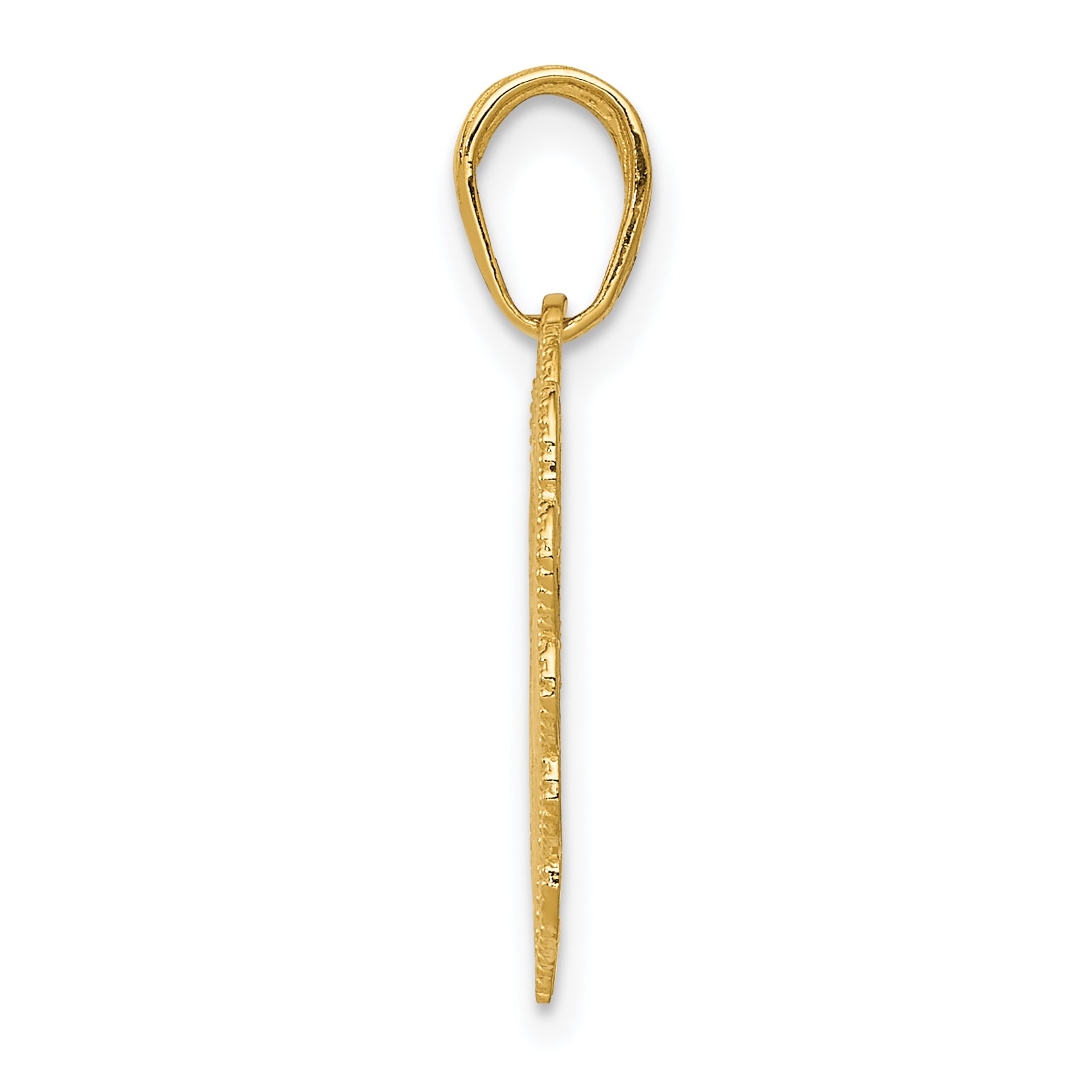14K Gold RN Registered Nurse Heart Pendant with Polished Finish