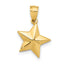 14k Polished Small Star Pendant