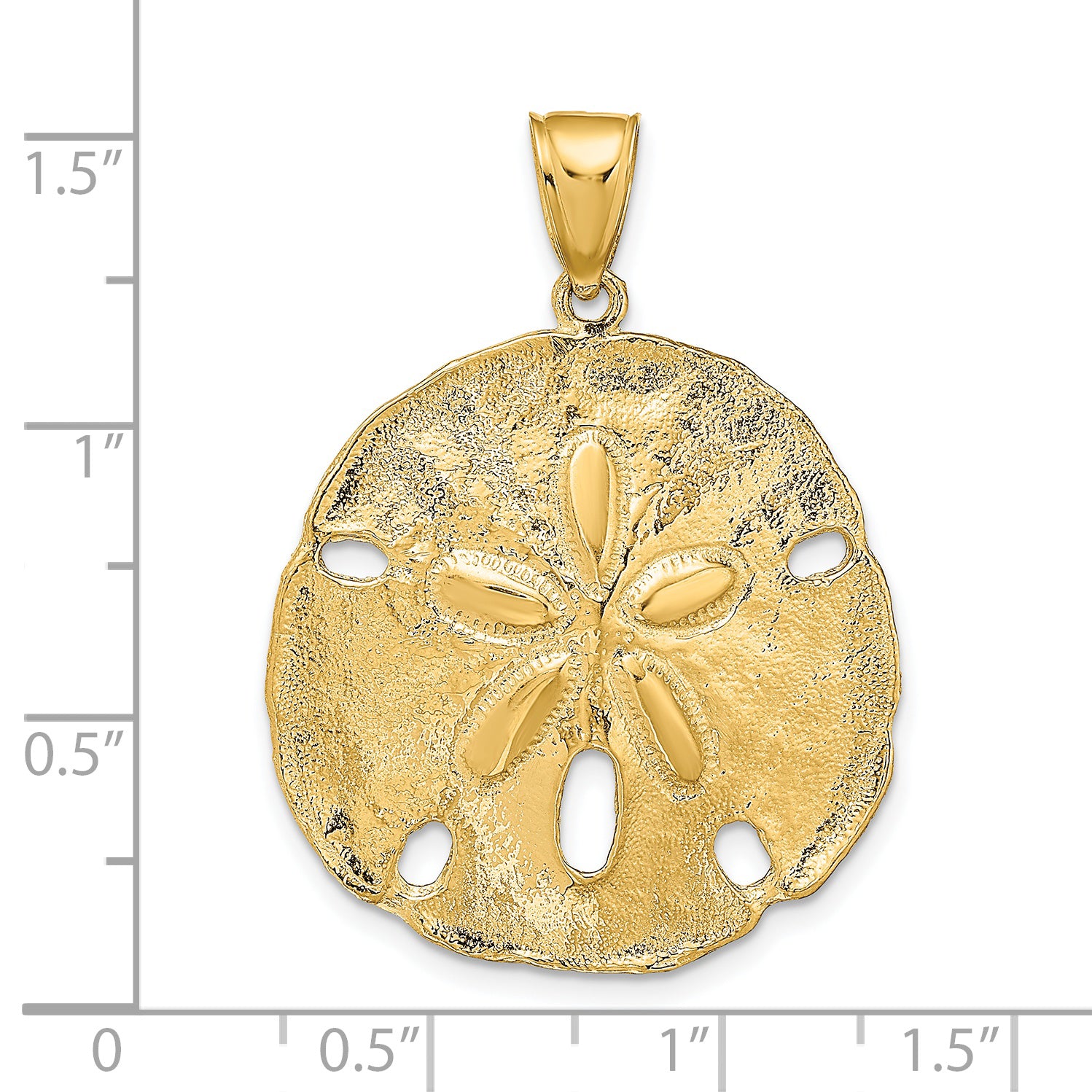 14K Gold Sand Dollar Pendant for Men with Polished Textured Finish