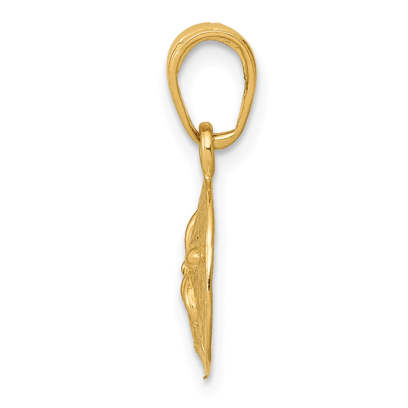 14K Gold Polished Sand Dollar Pendant with Textured Solid Design
