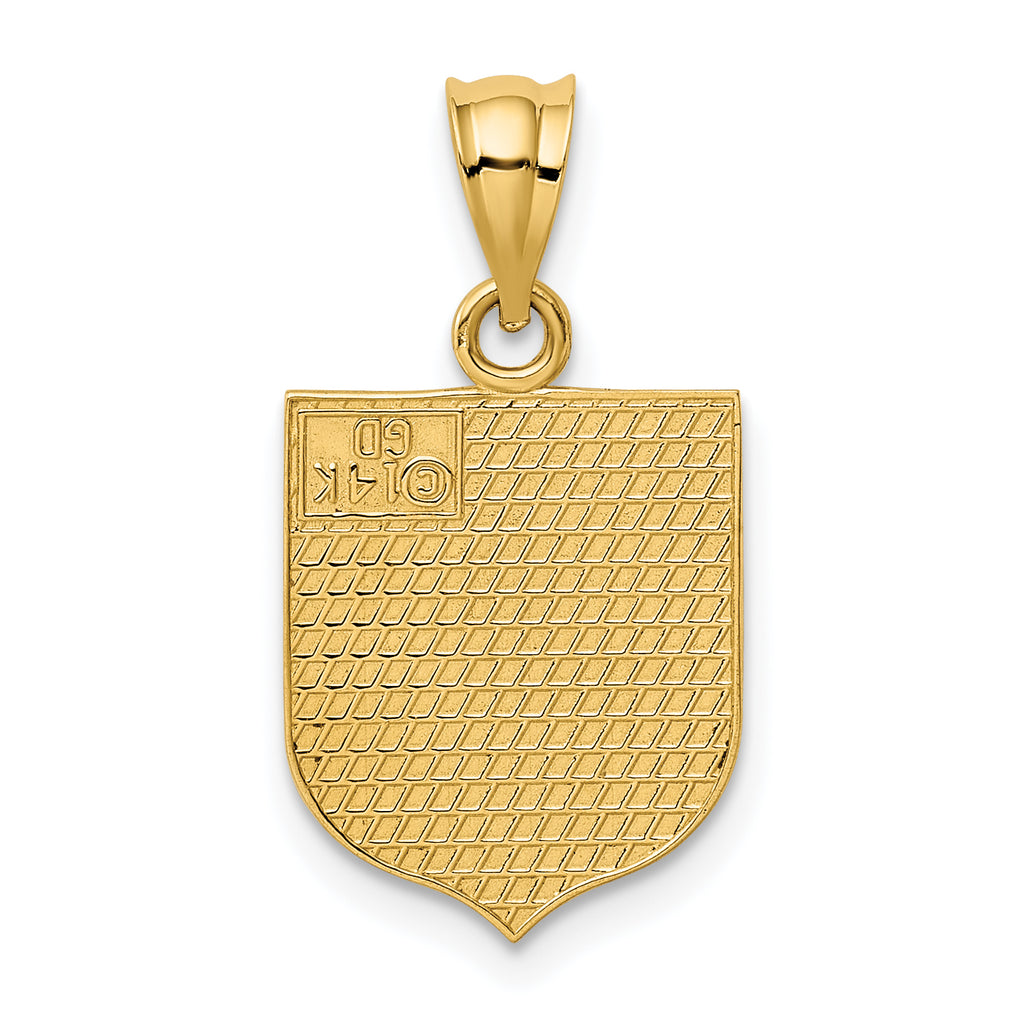 14K Gold USA Flag Enameled Pendant with Polished Finish for Men