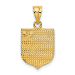 14K Gold USA Flag Enameled Pendant with Polished Finish for Men