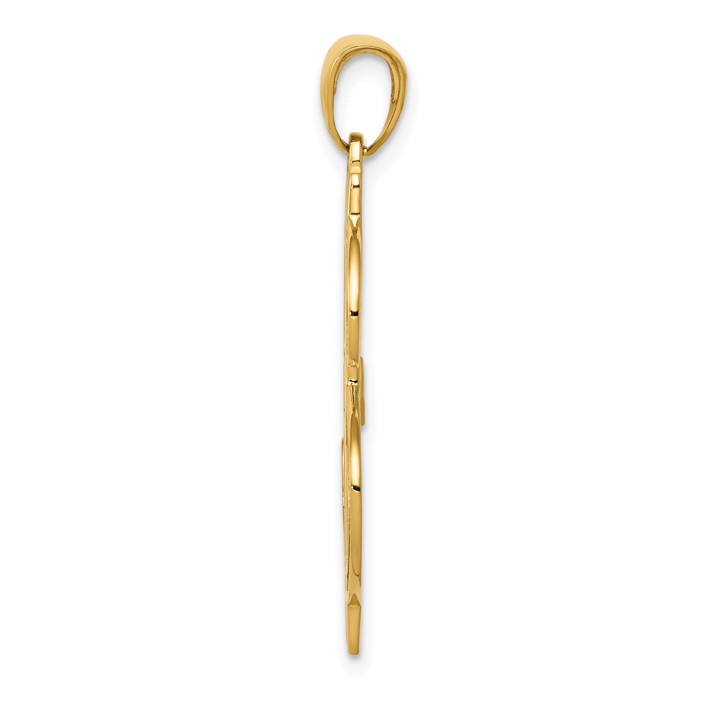 14K Gold Men's Dollar Sign Pendant with Polished and Textured Finish