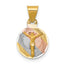 14K w/Rose and White Rhodium D/C Corpus Circle Pendant