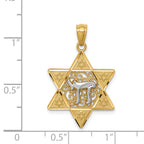 14K Two-Tone Gold Star of David with Chai Pendant Polished Finish