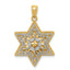 14K Two-Tone Polished Reversible Filigree Star Of David Pendant