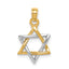 14K Two-tone Polished Star of David Pendant