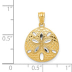 14K Gold Rhodium Diamond-Cut Polished Sand Dollar Pendant for Men